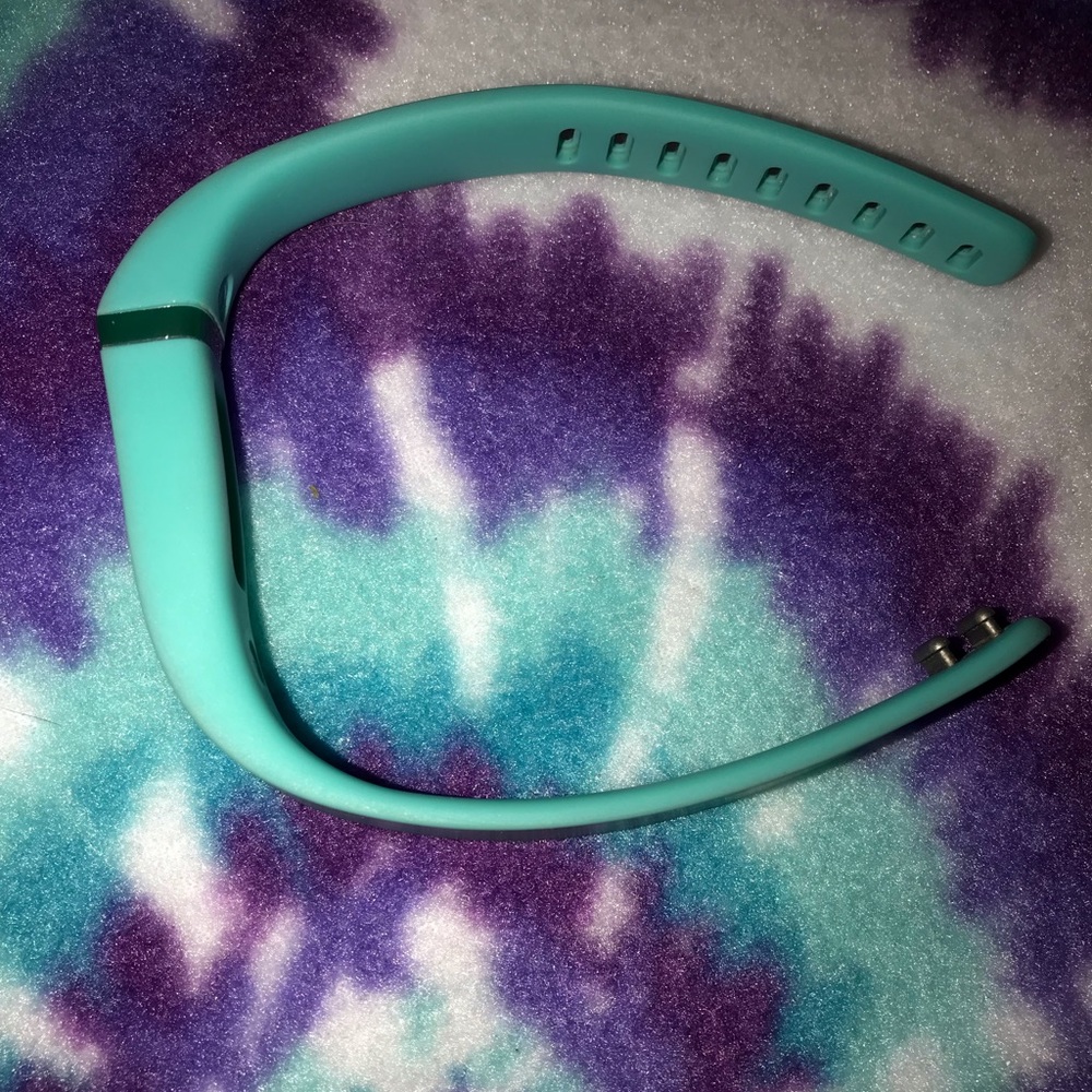 FitBit Flex